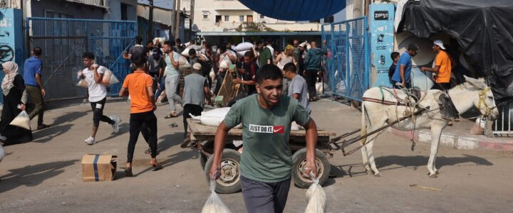 One Displaced Household in Deir Al-Balah