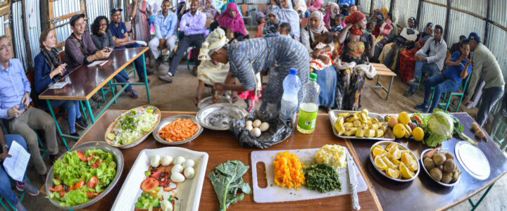 Nigerian households use a range of energy